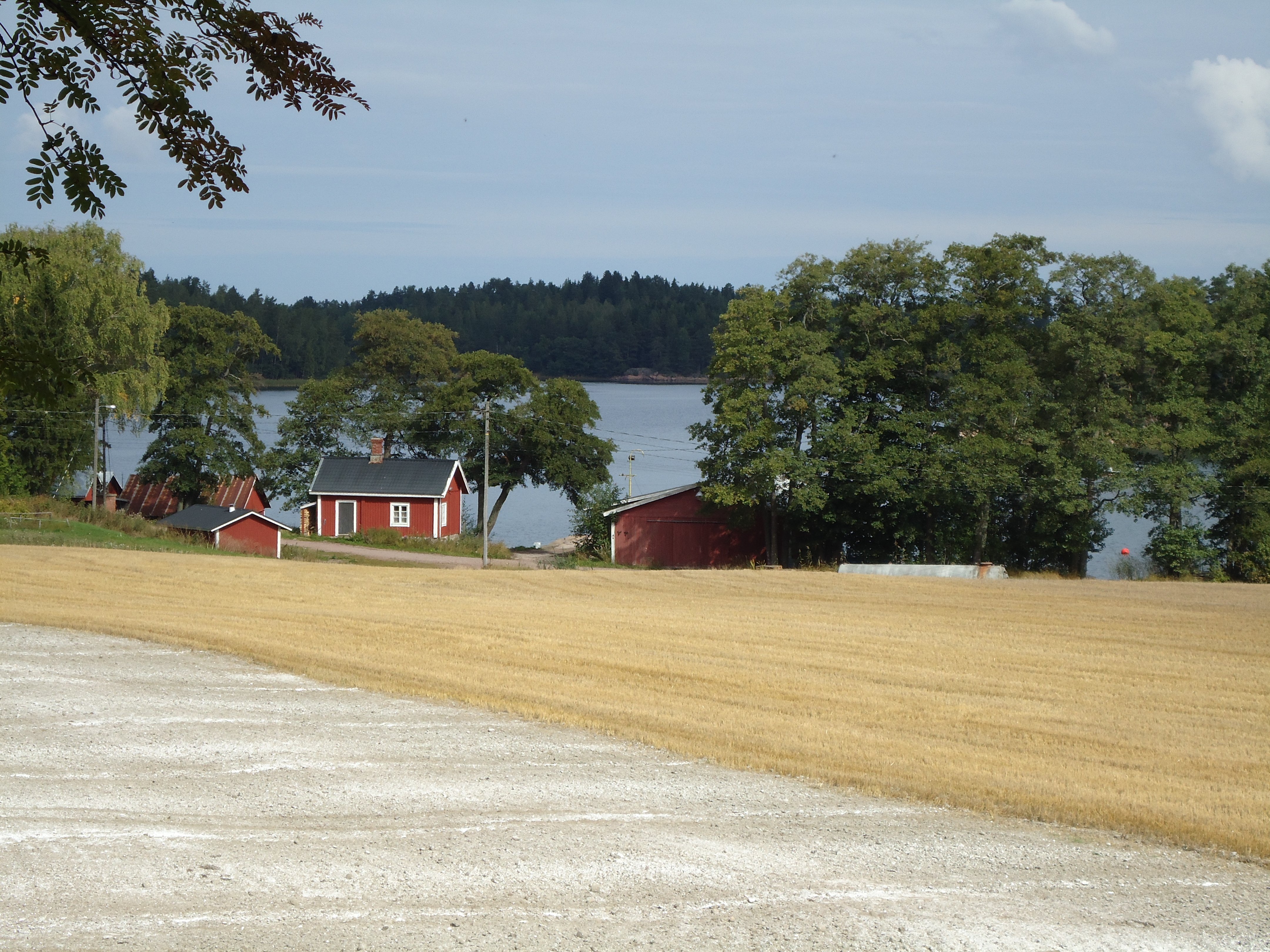 Vesiensuojelu