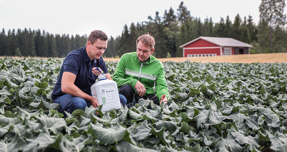 Mikkeliläinen vihannesyhtymä 3T levittivät parsakaalille ja jäävuorisalaatille YaraVita Biotrac -biostimulanttia.