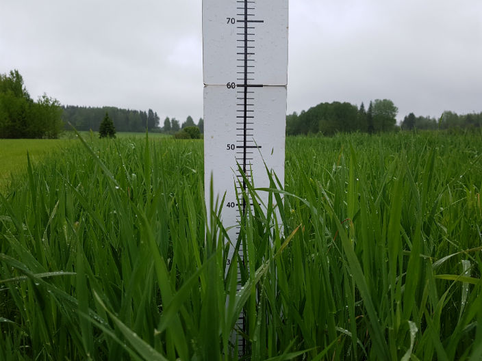 Nurmen D-arvoseuranta 2017