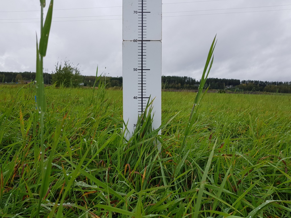 Nurmen kolmannen sadon D-arvoseuranta