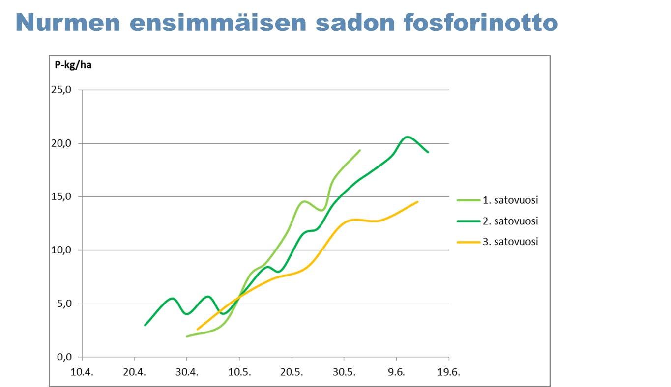 Nurmen ensimmäisen sadon fosforinotto