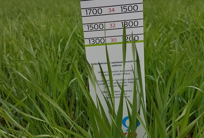 Nurmen D-arvoseuranta 2017