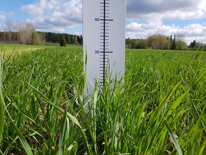 Nurmen D-arvoseuranta 2017