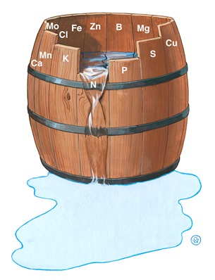 Justus von Liebigin minimilaki ravinteista