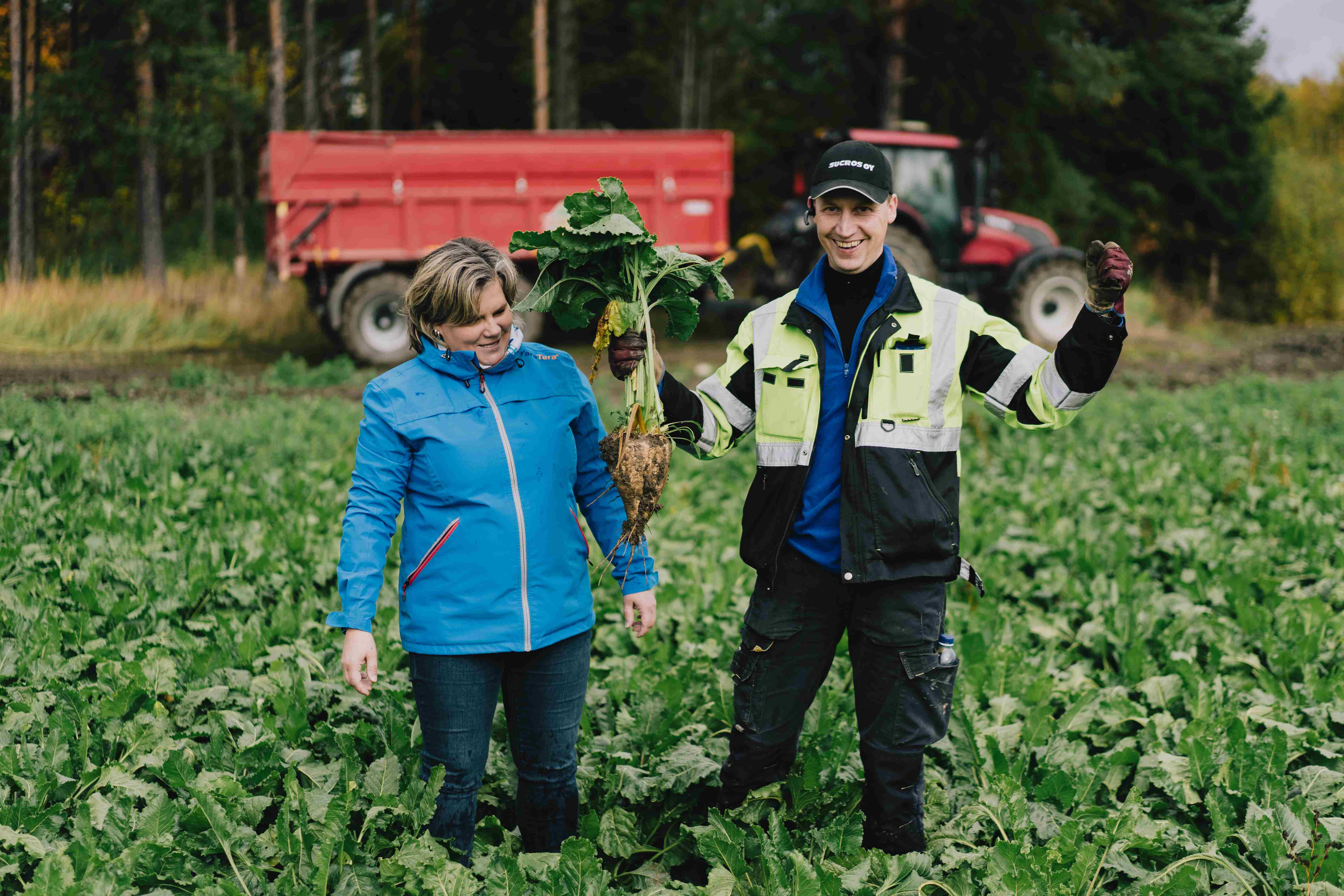 Yaran asiakkuuspäällikkö Taija Saari ja viljelijä Mika Lehtinen iloitsevat, sillä kulunut kasvukausi oli suotuisa sokerijuurikkaalle.