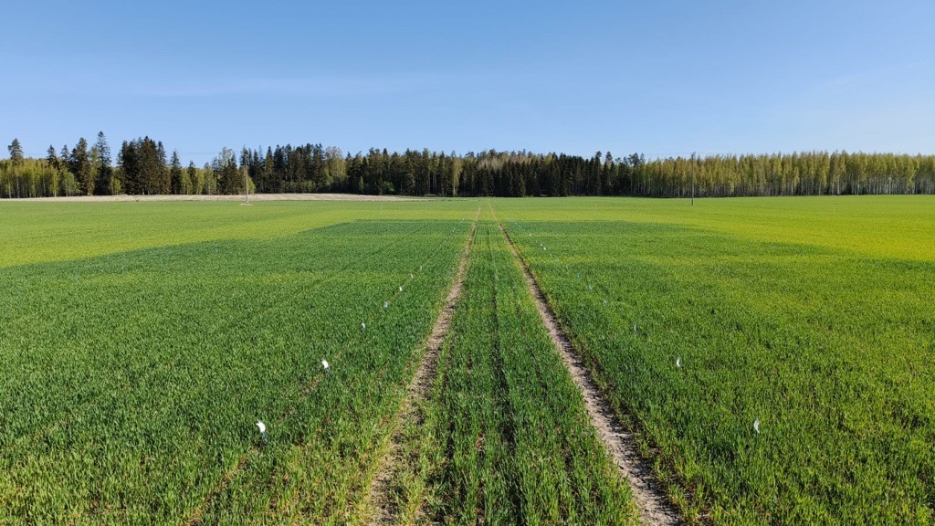 Lannoitusstrategiakoe, Siuntio 14.5.