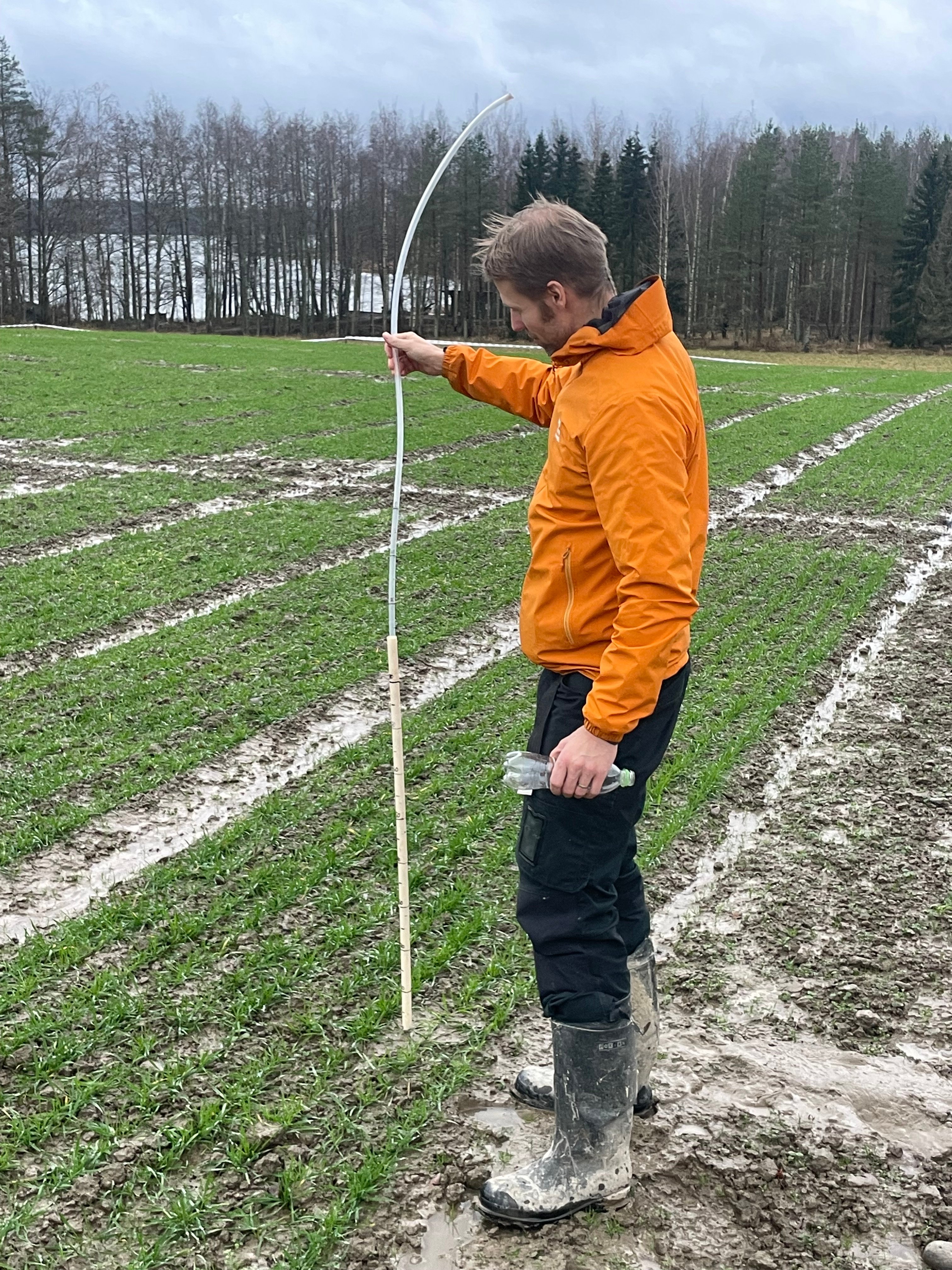 Mikko Sakala ja routaputki