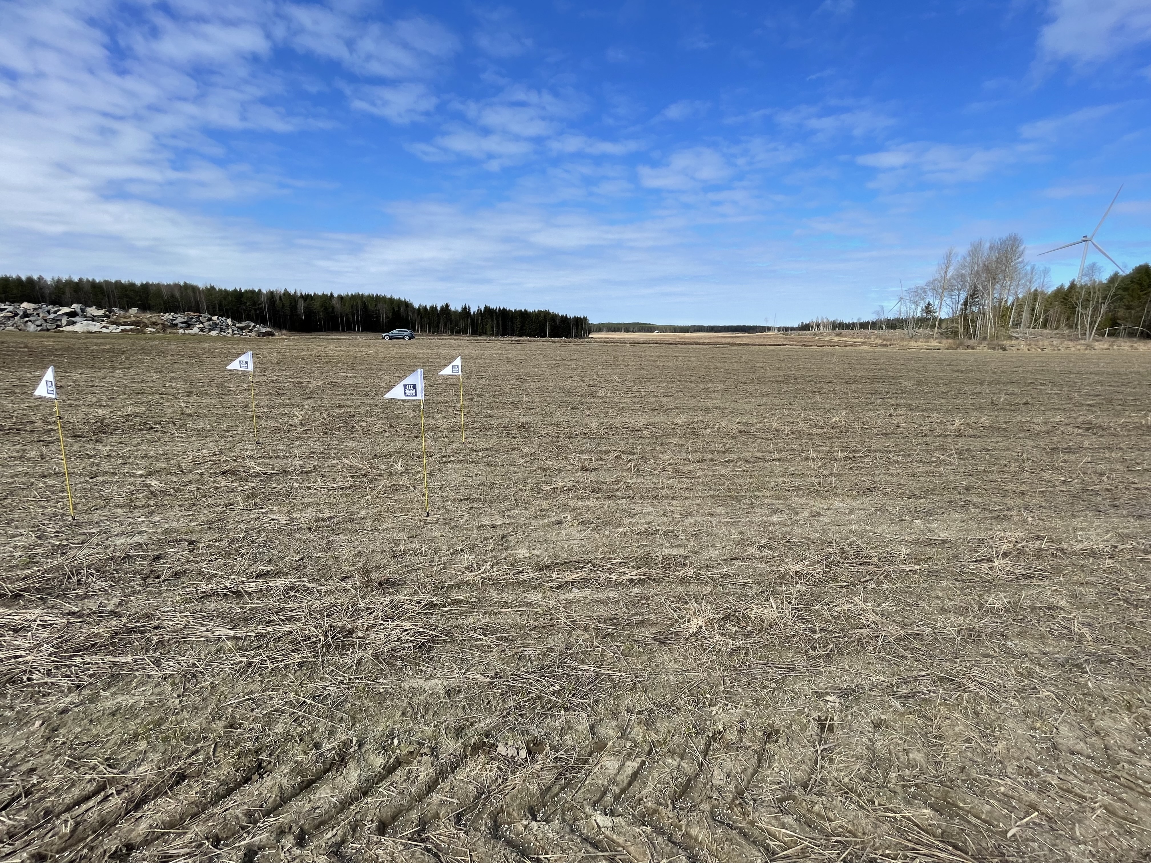 Kasvustokuva, Uusikaarlepyy 7.5.