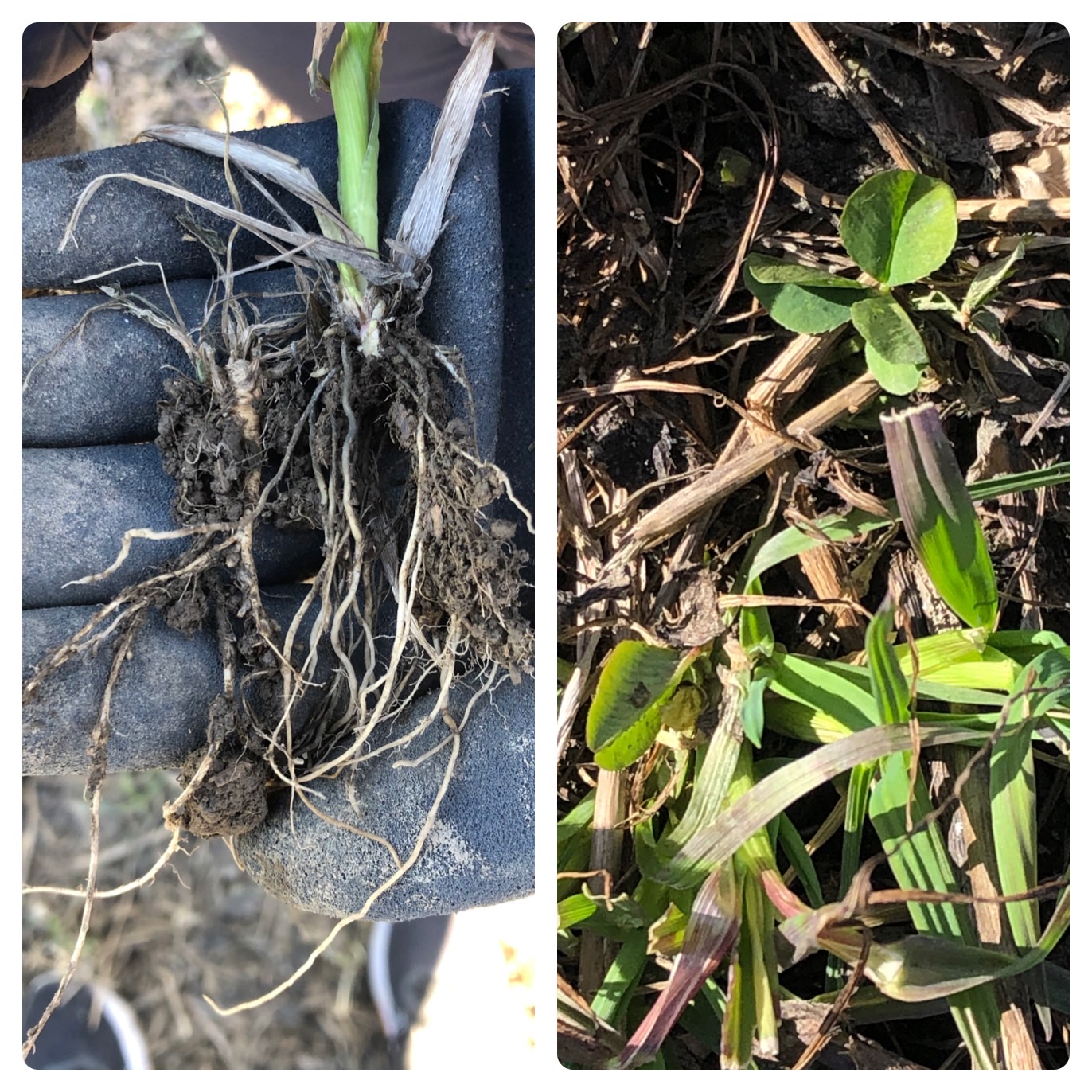 Nurmien lannoitukset