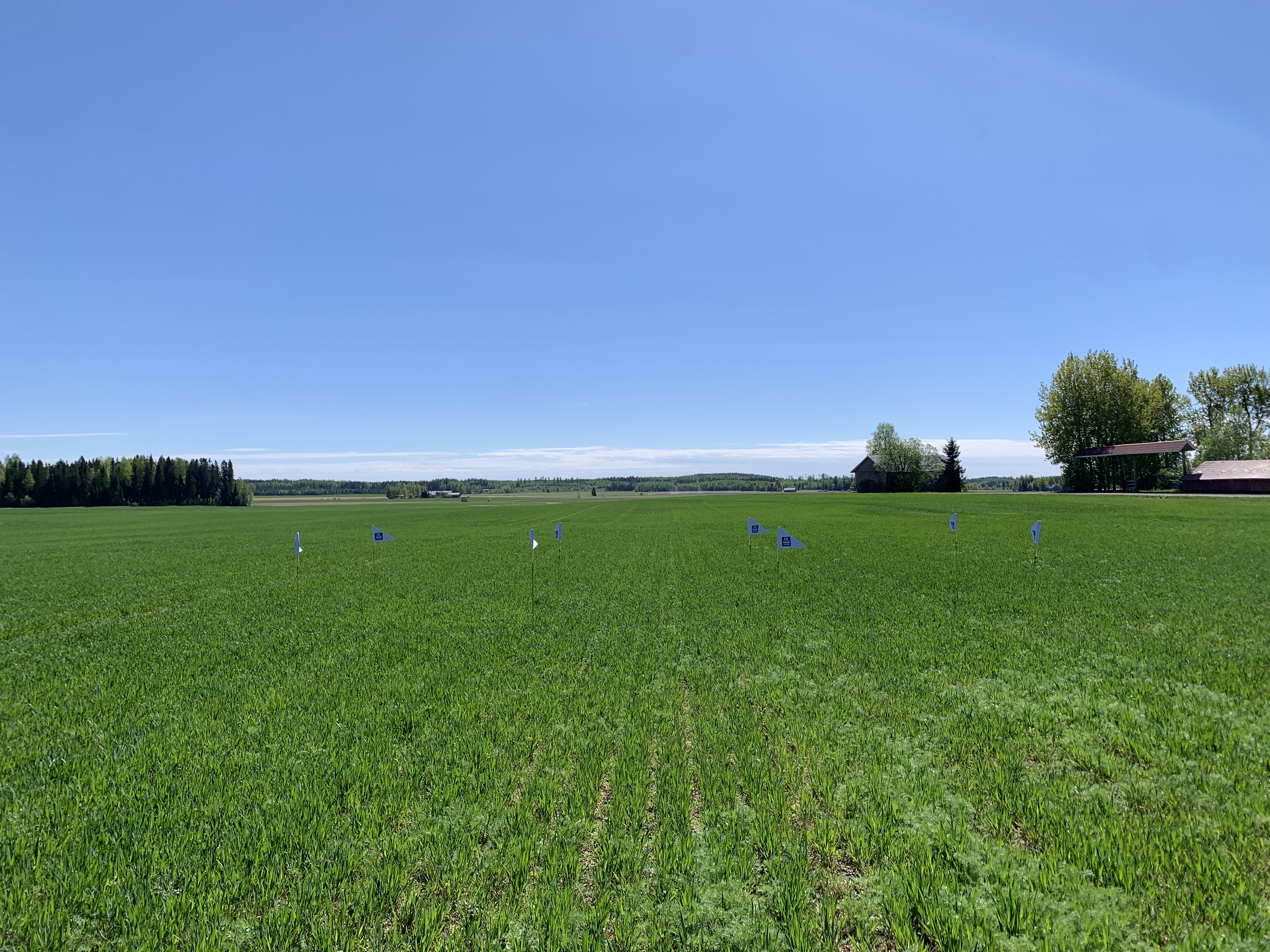 Lannoitusruudut, Kärkölä 20.5.