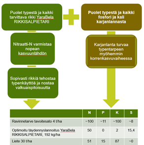 YaraBela RIKKISALPIETARI