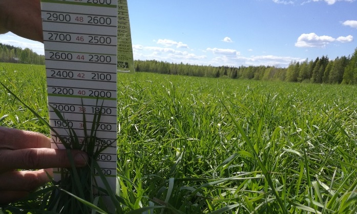 Nurmen D-arvoseuranta 2017