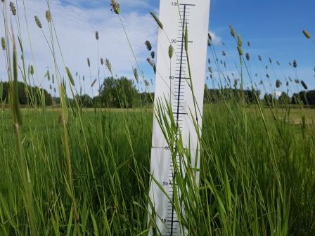 Nurmen 2. sadon D-arvoseuranta Yara Kotkaniemessä