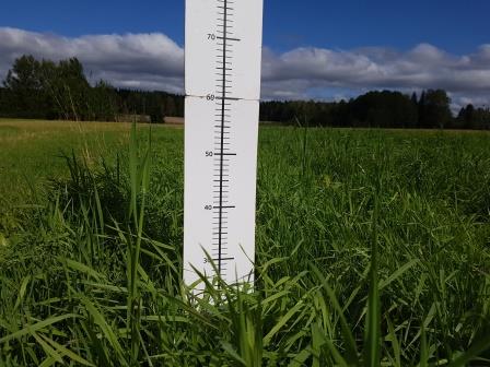 Nurmen 3. sadon D-arvoseuranta Yara Kotkaniemessä