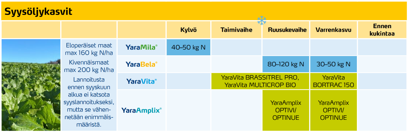 Syys&ouml;ljykasvit lannoitusohjelma