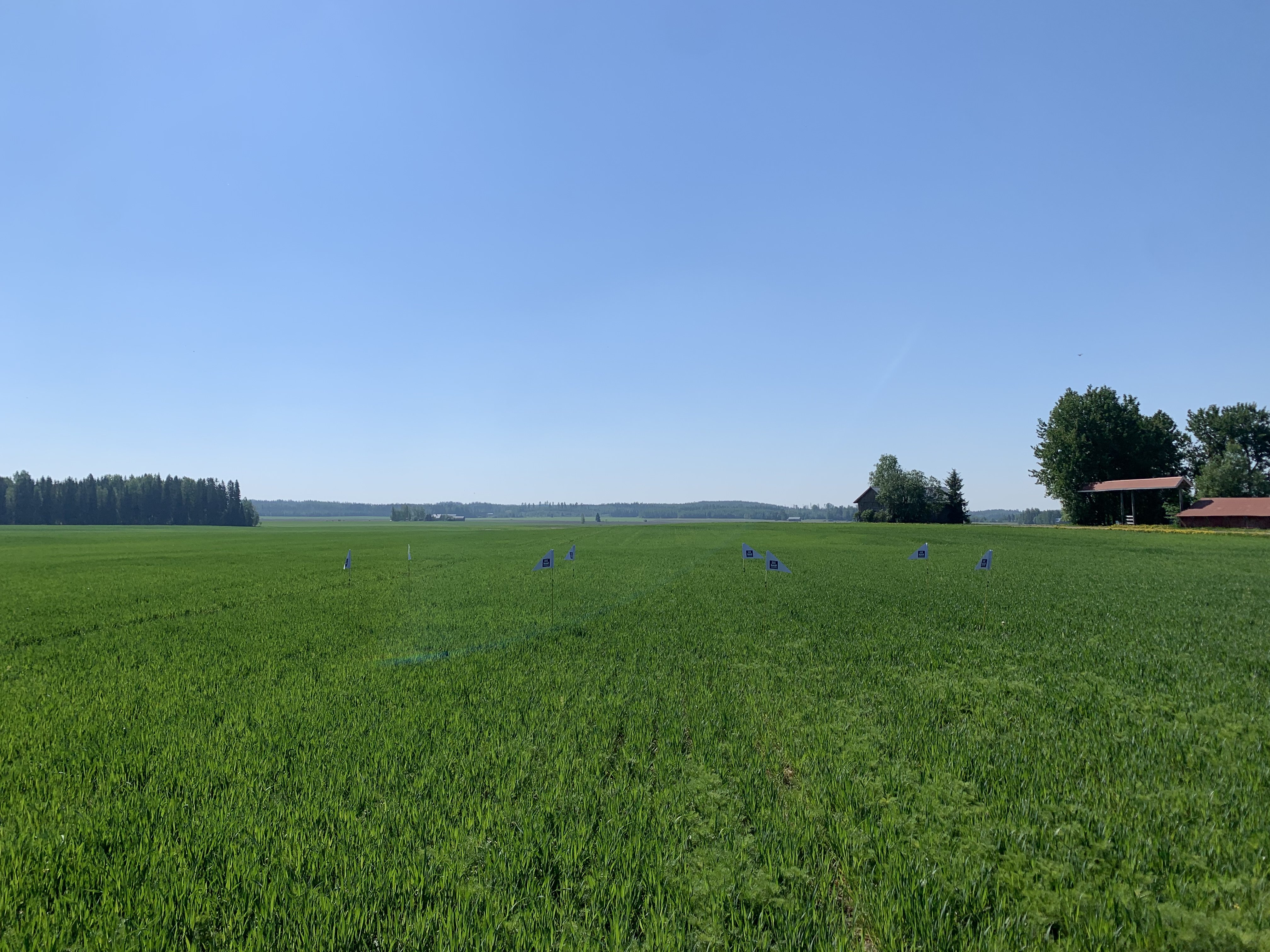 Lannoitusruudut, Kärkölä 27.5.