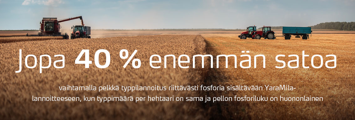 Vaihtamalla YaraMila-lannoitteeseen voit saada jopa 40 % enemmän satoa.