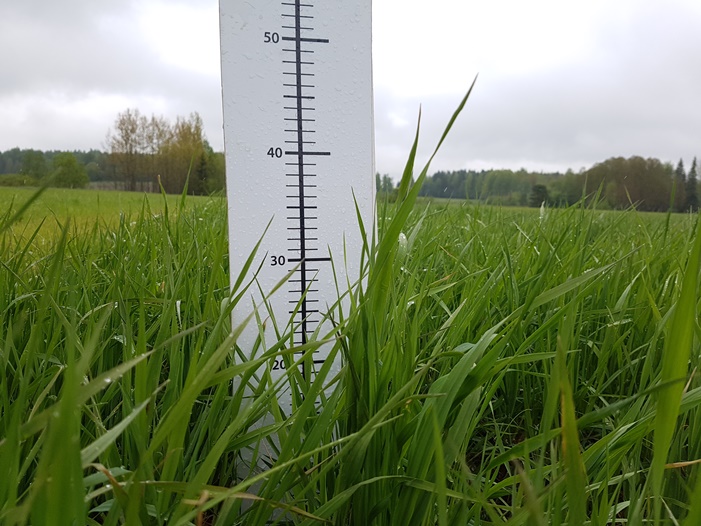 Nurmen D-arvoseuranta 2017