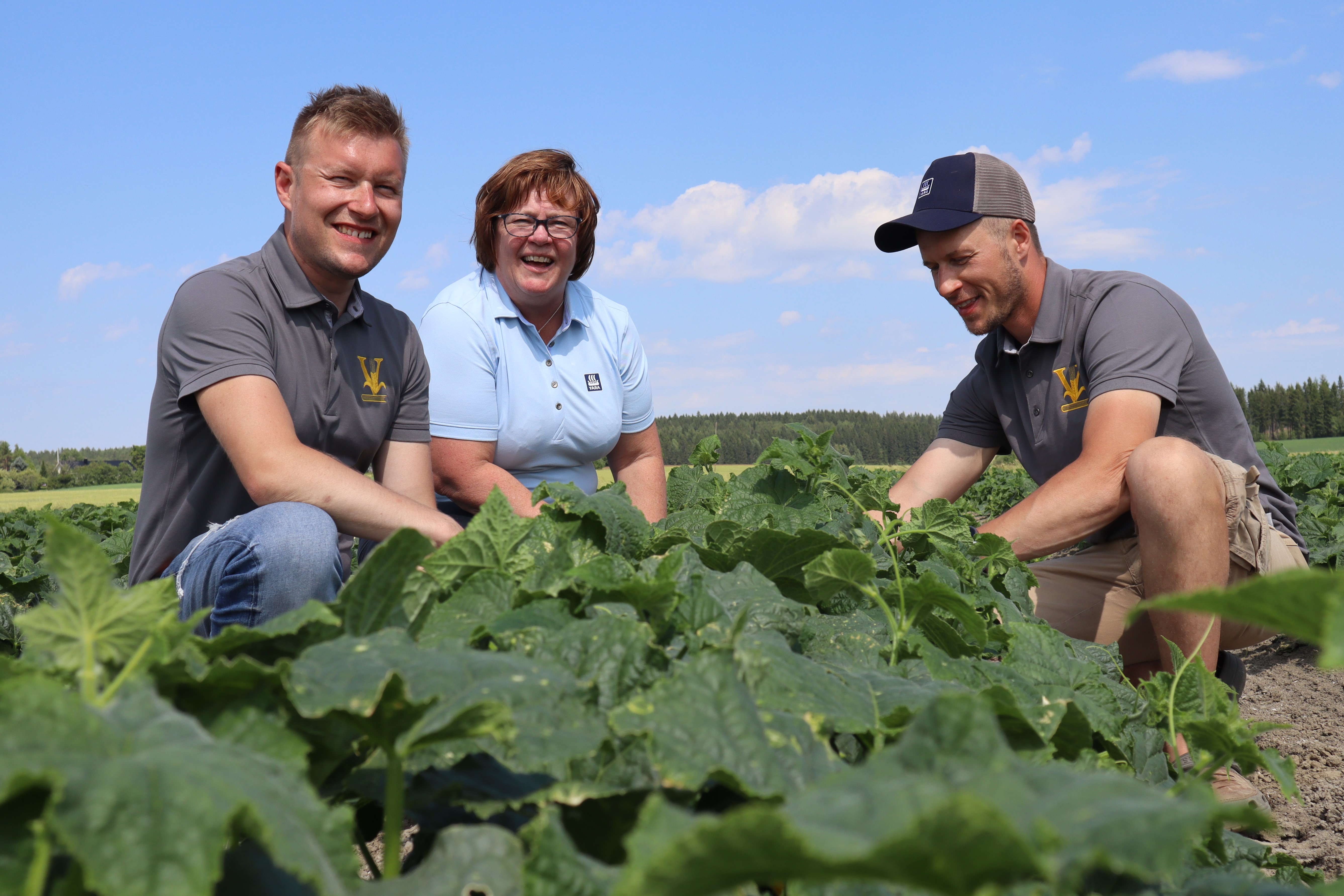 Juho Vainio (vas.), Raija Roos ja Kalle Vainio tutustumassa avomaan kurkun kavustoon hyvin onnistuneen tapahtuman jälkeen.