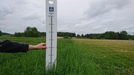 Nurmen 2. sadon D-arvoseuranta Yara Kotkaniemessä