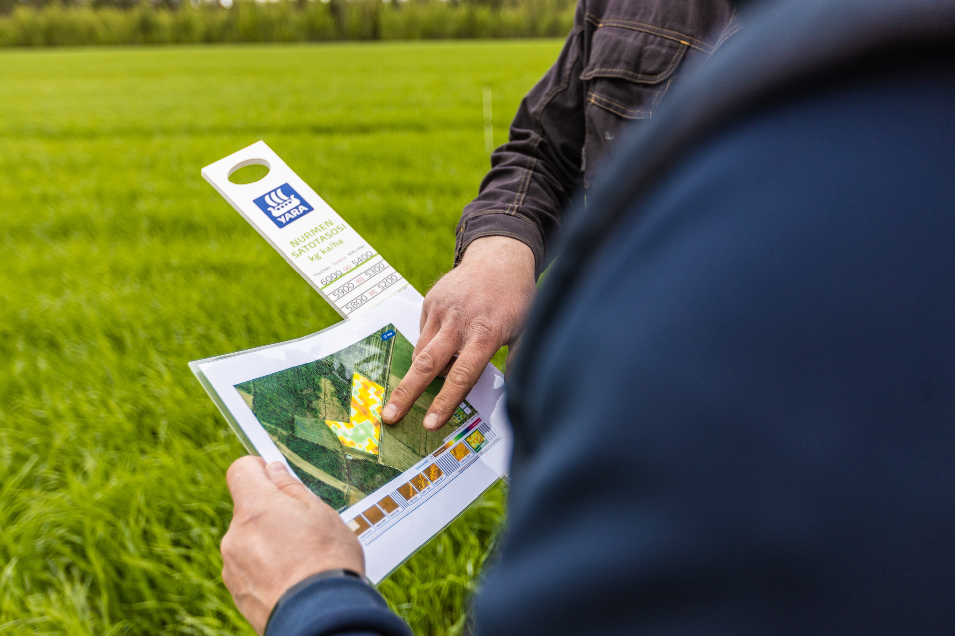 Kerää alta vinkit nurmen viljelyyn ensi kasvukaudelle.