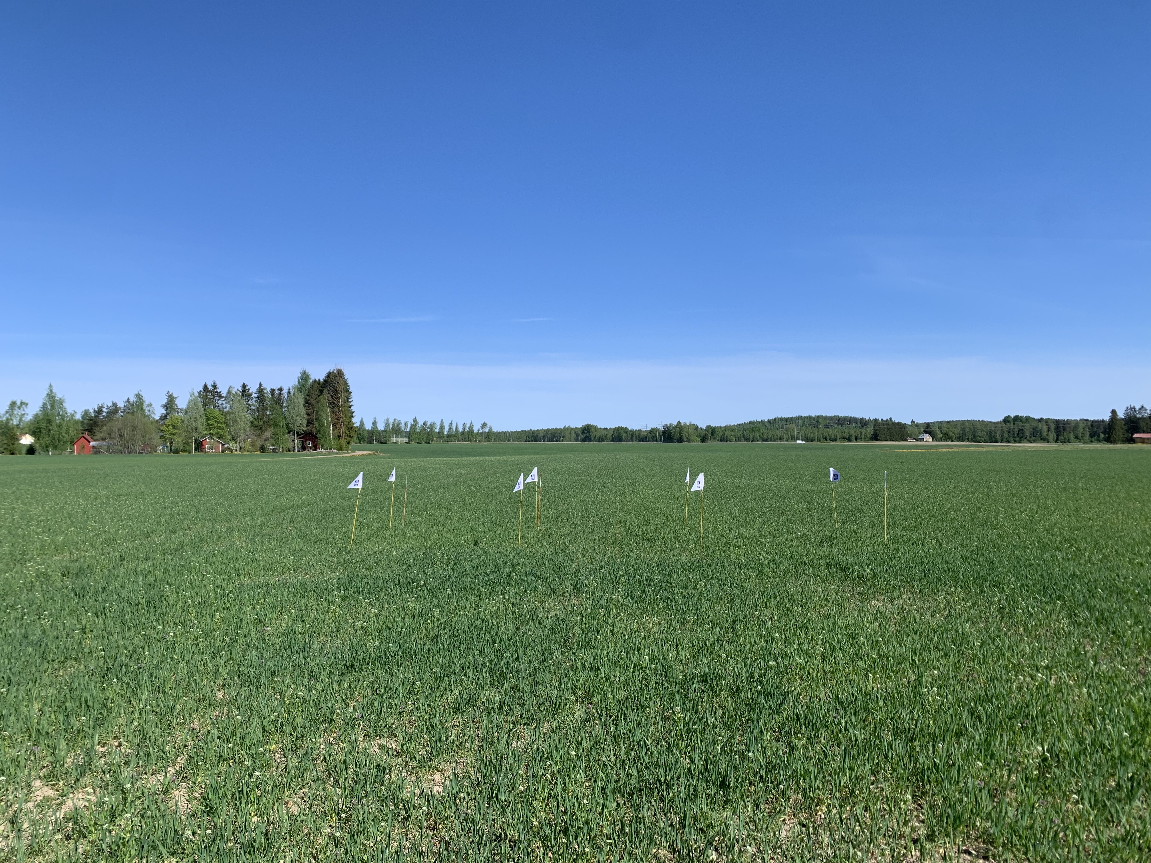 Lannoitusruudut, Hausjärvi 20.5.