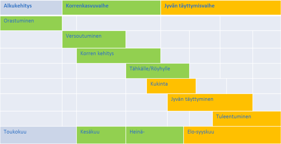 Kevätviljojen kasvu ja kehitys